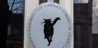 Cat Cabinet 1 - Amsterdam - Pays-Bas